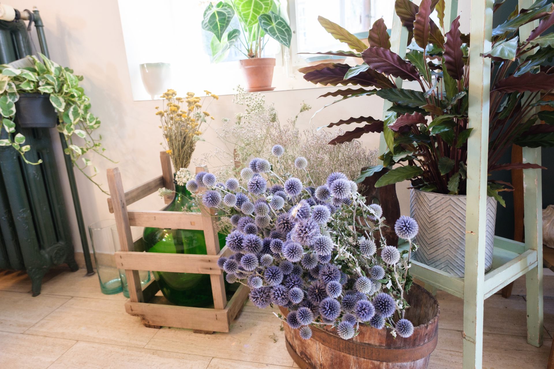 Blumen die halten, die Schönheit von lokalen Trockenblumen.