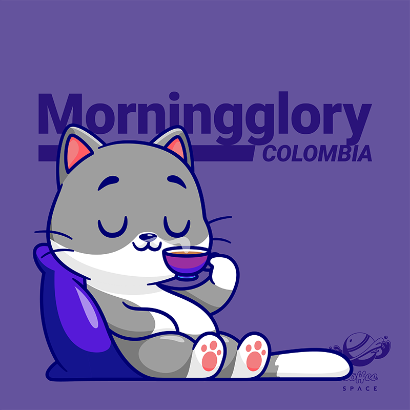Morningglory