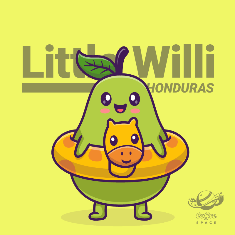 Little Willi (Medium Light)