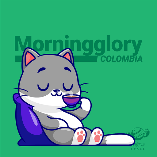 Morningglory Rohkaffee